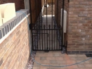 Iron Gates